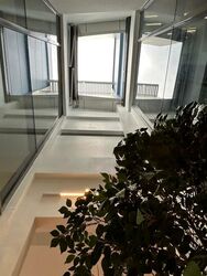Miltonia Close (D27), Terrace #459634761